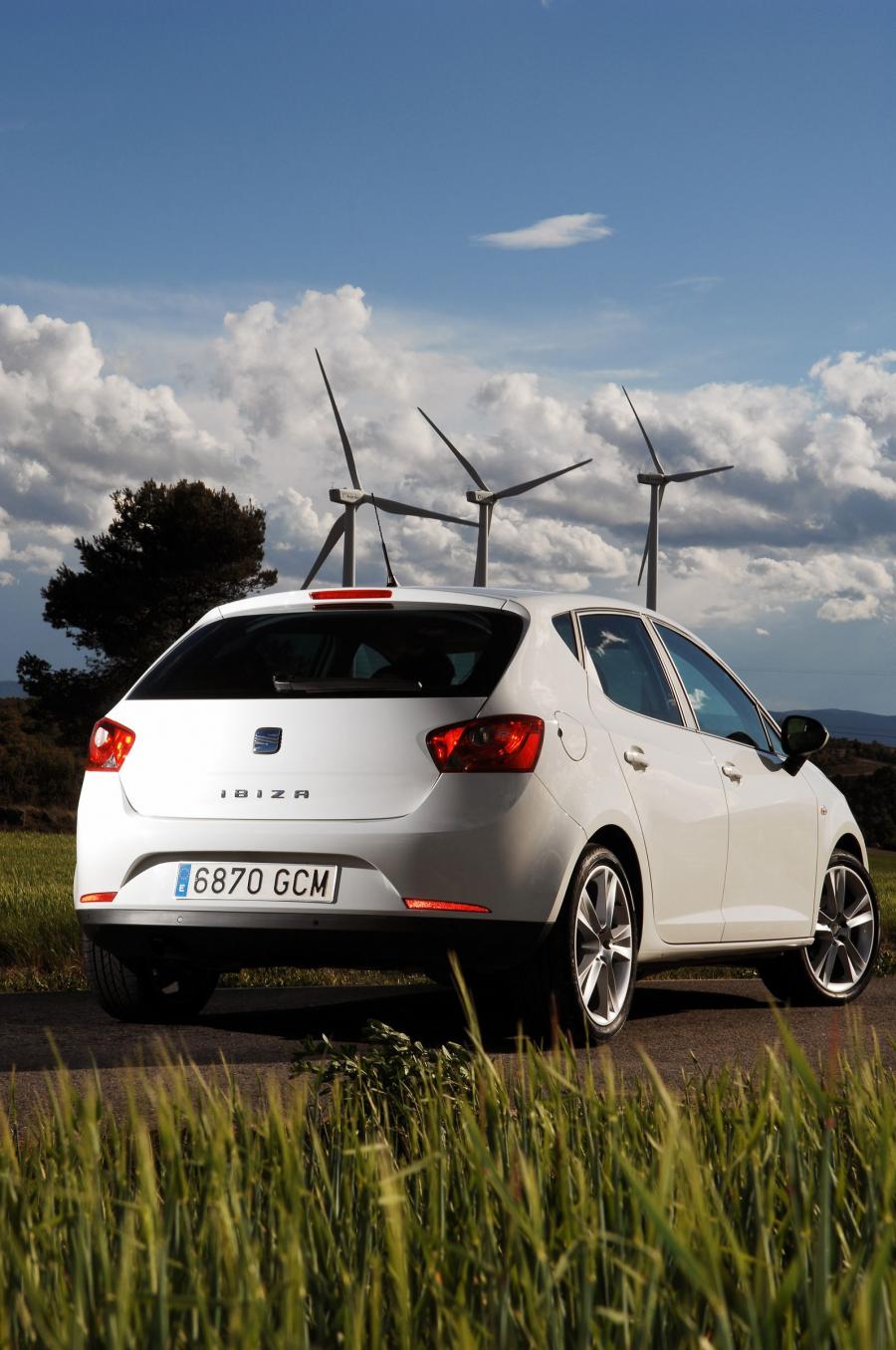  Seat Ibiza 2008 года  (фото 158 из 287)